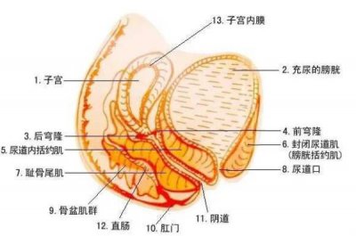 ​女生第一次一定会出血吗，处女的第一次都会流血吗