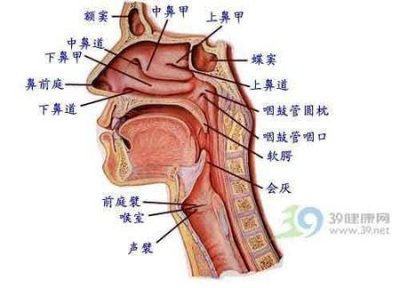 ​喉咙长期有异物感怎么办(咽喉异物感是怎样造成的)