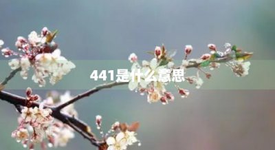 ​441是什么意思(441是什么材料)