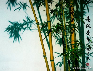 ​门前种竹子风水好不好（家门前种竹子影响风水的讲究禁忌）