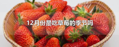 ​12月份是吃草莓的季节吗