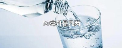 ​50毫升是几两