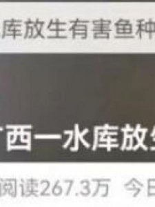 ​清道夫可以吃吗(清道夫可以吃吗有没有营养)