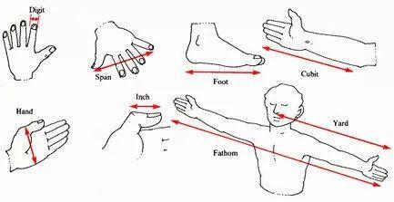 inch是什么单位(1英寸就是一节大拇指的长度？)