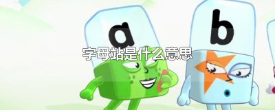 ​字母站是什么意思