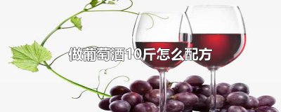 ​做葡萄酒10斤怎么配方