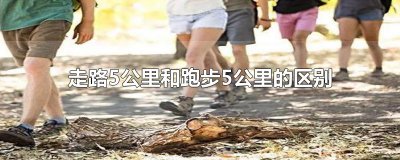 ​走路5公里和跑步5公里的区别