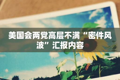 美国会两党高层不满“密件风波”汇报内容