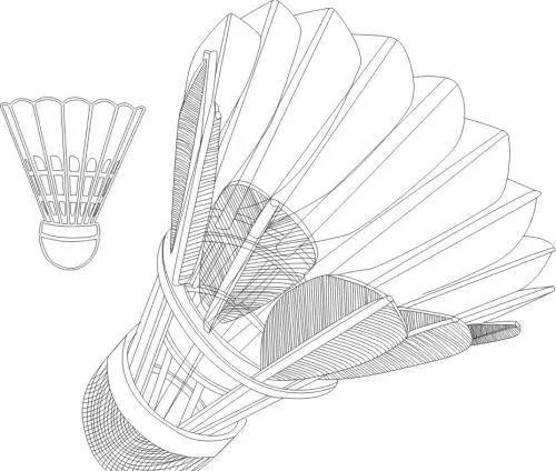 羽毛球由多少根羽毛组成_为什么是16根呢