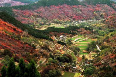 ​河南省林州市旅游景点介绍（河南林州免费景点）