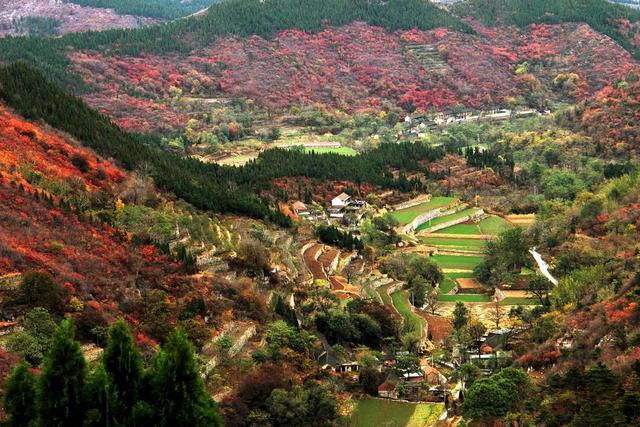 河南省林州市旅游景点介绍（河南林州免费景点）(1)