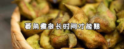 ​菱角什么季节成熟 菱角煮多长时间才能熟