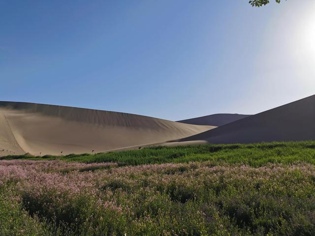 敦煌旅游自由行攻略图文（甘肃之旅攻略敦煌篇）(11)