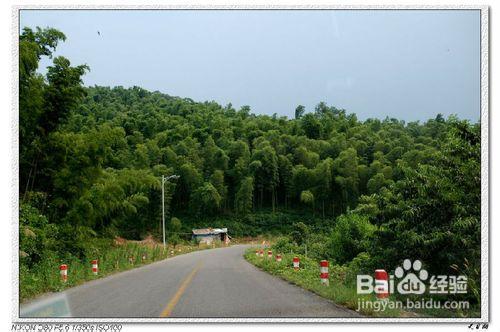 天目湖风景区游玩攻略（天目湖旅游攻略）(15)