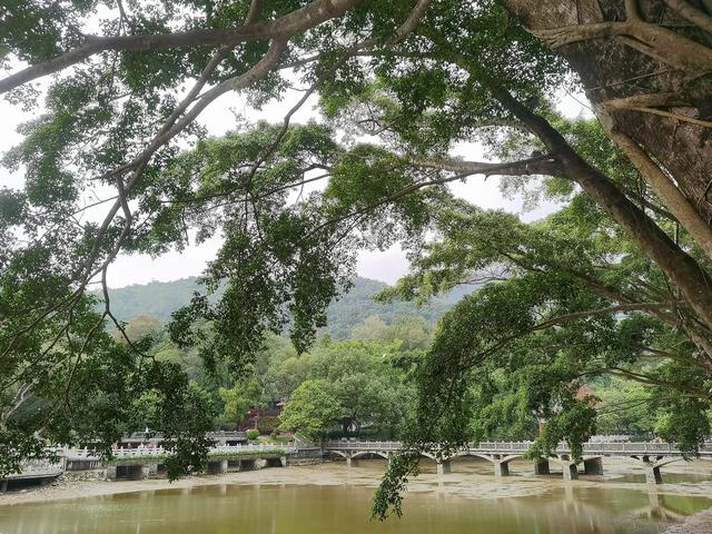 广东罗浮山景区攻略（罗浮山风景区游记）(4)