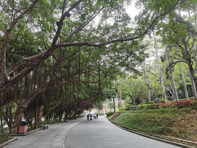 广东罗浮山景区攻略（罗浮山风景区游记）(3)