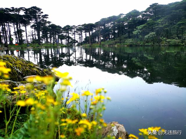 云南大理苍山旅游攻略（大理旅游苍山必游）(10)