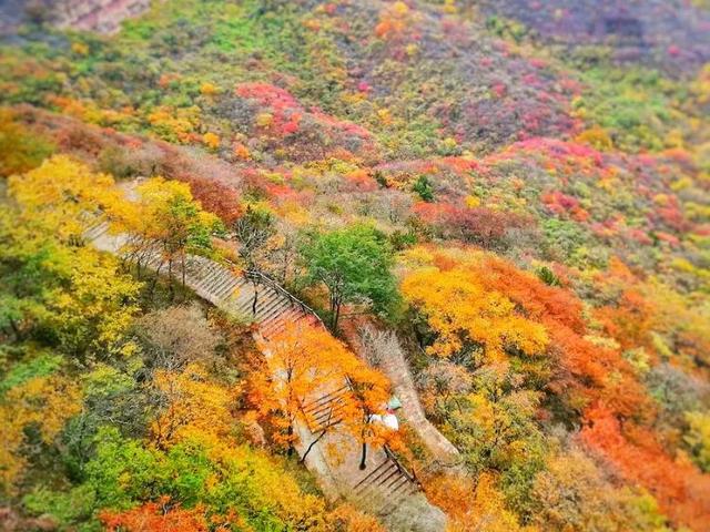 河北邯郸都有什么旅游景点（河北邯郸十五个著名的旅游景点）(12)