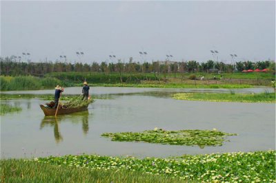 ​云南旅游必须知道的景点（十大旅游必去之地）