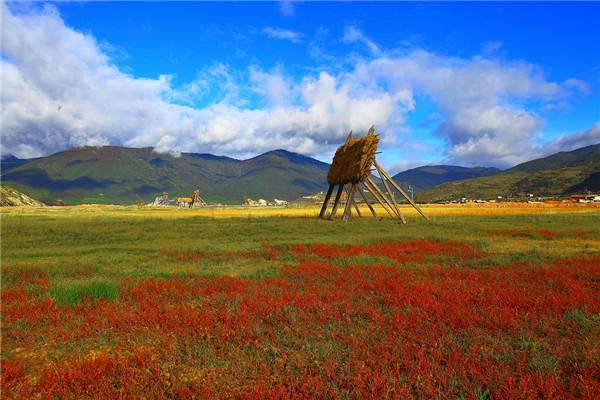 云南旅游必须知道的景点（十大旅游必去之地）(5)