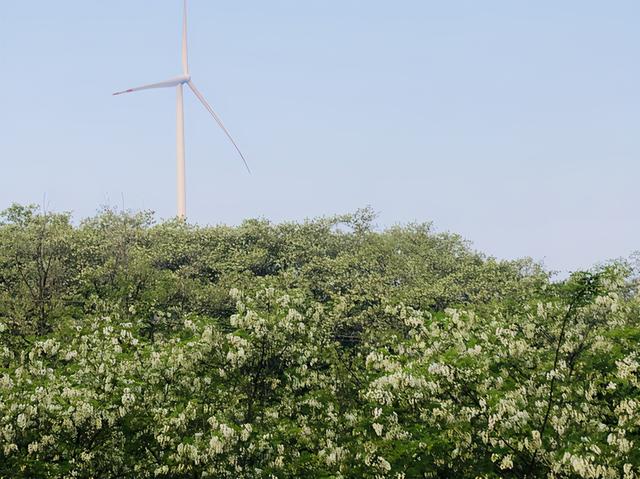 大连小众露营地（就来大连这些槐香四溢的露营地）(8)