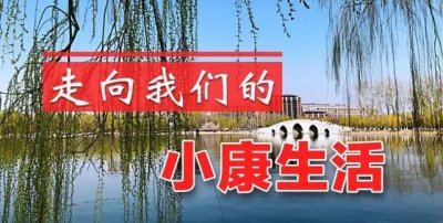 ​小康生活的标准是什么，什么叫做小康?小康家庭的具体标准是什么?现在全国的小