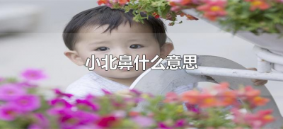 ​小北鼻什么意思（小北鼻是什么）