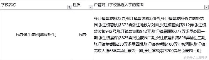 上海张江集团学校转公办（学校攻略十年磨一剑）(8)