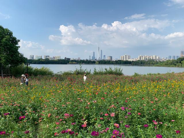 广州游玩景区 海珠湖（广州国庆假期一日游）(19)