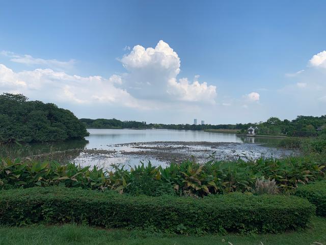 广州游玩景区 海珠湖（广州国庆假期一日游）(4)