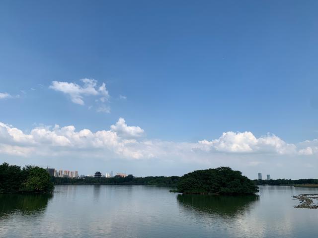 广州游玩景区 海珠湖（广州国庆假期一日游）(3)