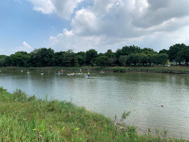 广州游玩景区 海珠湖（广州国庆假期一日游）(6)