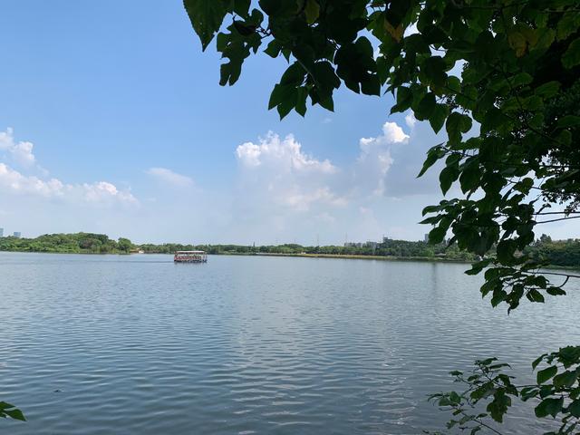 广州游玩景区 海珠湖（广州国庆假期一日游）(8)