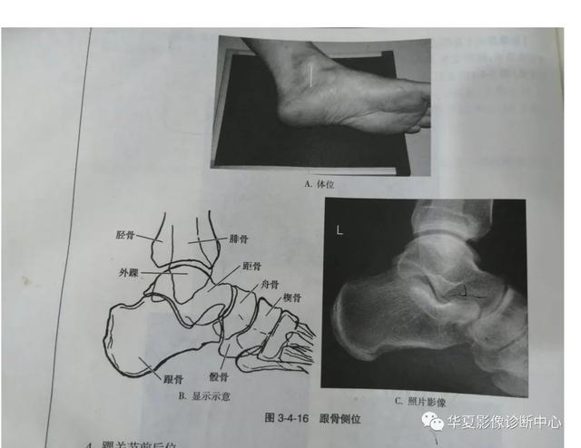 体位动作图示健康知识科普（这些常见体位你能否一眼扫过又能一语中的）(1)