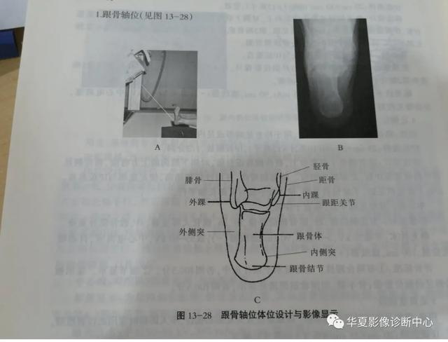 体位动作图示健康知识科普（这些常见体位你能否一眼扫过又能一语中的）(2)