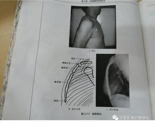 体位动作图示健康知识科普（这些常见体位你能否一眼扫过又能一语中的）(12)