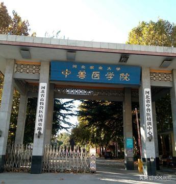 河北哪所高校建立了新校区（河北这两所一校多地的大学）(4)