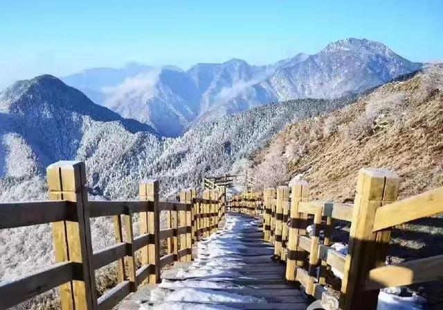 西岭雪山详细攻略（又一次到了西岭雪山）(5)