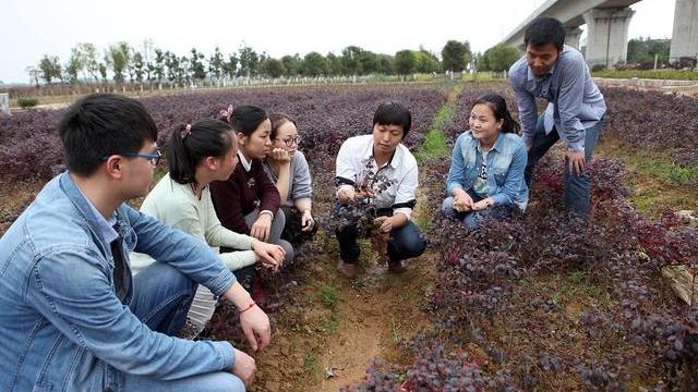 村官报考要具备哪些条件（大学生村官怎么报考）(3)