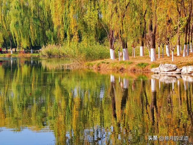 北京免费景点推荐（北京免费游玩好去处）(11)