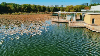 北京免费景点推荐（北京免费游玩好去处）(6)