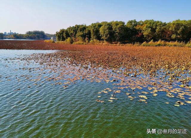 北京免费景点推荐（北京免费游玩好去处）(7)