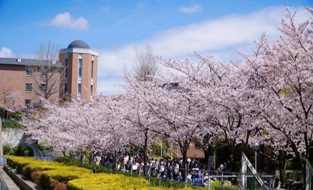 沈阳最硬核大学（沈阳臭名昭著的4所野鸡大学）(2)