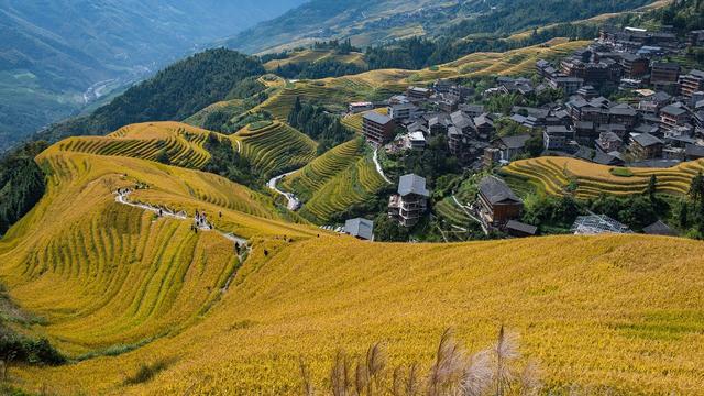 桂林市龙脊梯田一日游（9月份去桂林龙脊梯田旅游）(1)