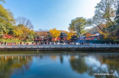 ​五一去哪旅游最合适一日游(呼市五一去哪旅游最合适)