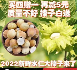 榛子外面绿皮汁液怎么可以去掉