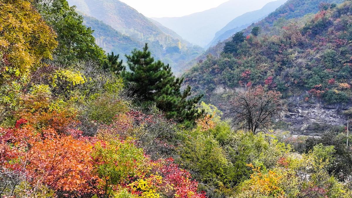 稷山县属于哪个省哪个市(稷山县属于哪个市)