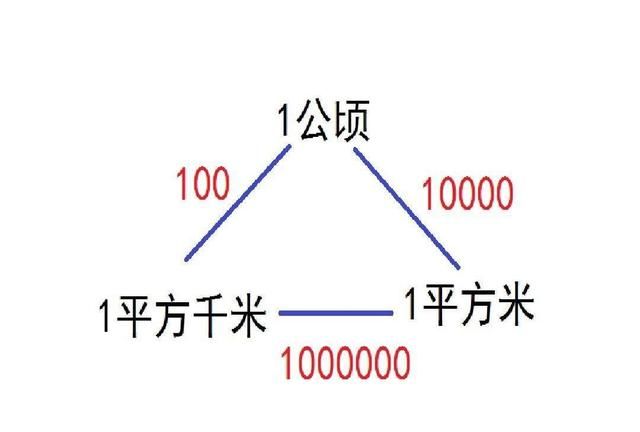 一平方米等于多少公顷，一平方千克等于多少公顷？图3