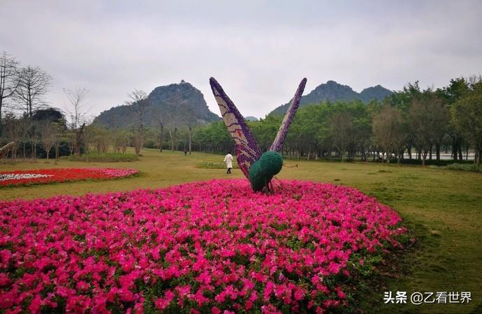 武鸣县属于哪个市(广西武鸣县属于哪个市)