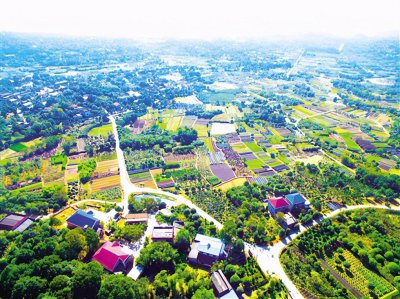 ​雨花区是哪个省哪个市(湖南雨花区属于哪个市)